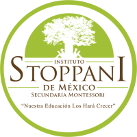 Plataforma Instituto Stoppani